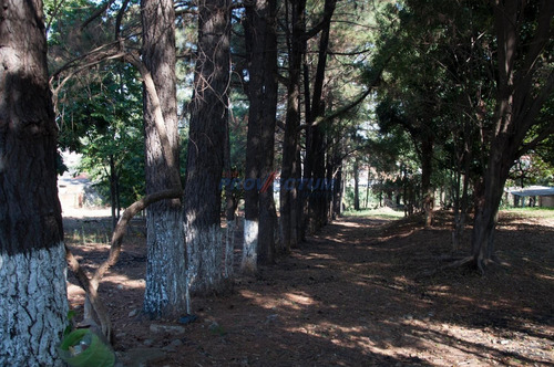 Chácara À Venda Em Jardim Villagio Ghiraldelli - Ch273728