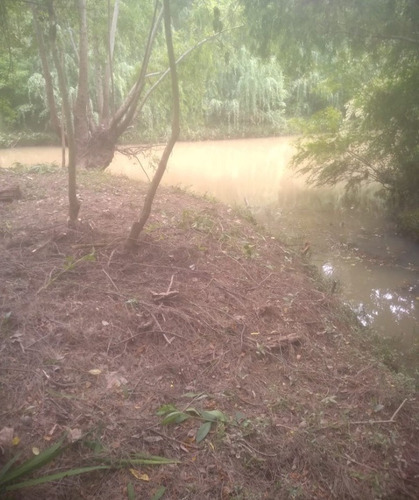 Imagen 6 de 13 de Terreno En El Delta Dos Hectáreas