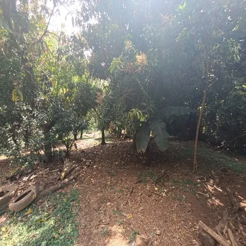 Vendo Lote En La Buitrera