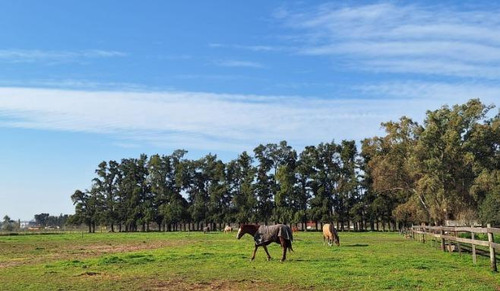 Campo En Venta - 2 Dormitorios 1 Baño - 12.000mts2 - Exaltación De La Cruz