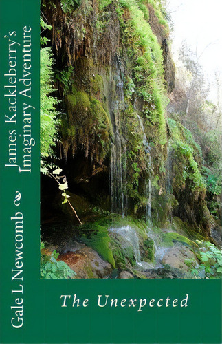 James Kackleberry's Imaginary Adventure : The Unexpected, De Gale L Newcomb. Editorial Createspace Independent Publishing Platform, Tapa Blanda En Inglés
