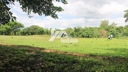Imagen 6 de 6 de Venta De Terrenos En Masaya