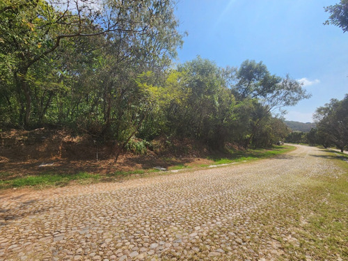 Venta De Lote San Diego 8 Sobre Boulevard Muy Cerca De Las Amenidades Y Del Hotel Del Fracc Rancho San Diego Ixtapan De La Sal Edomex. Se Incluye Proyecto