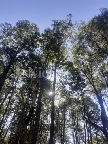 Imagen 12 de 12 de Sitio Y/o Terreno En Venta Km 17 Camino Internacional Puc...
