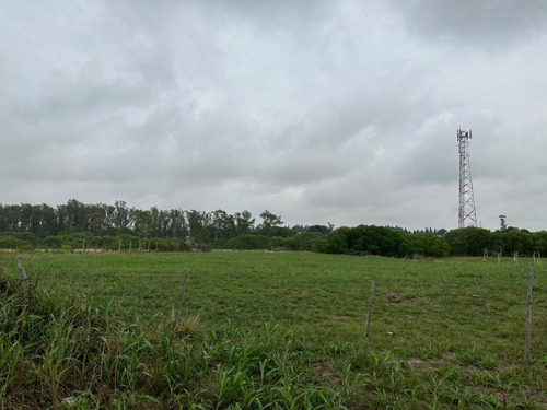 Imagen 4 de 4 de Lote En Venta Ejido Libertador San Martin, Entre Ríos