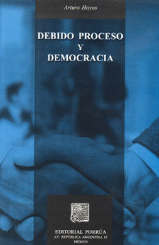 Libro Debido Proceso Y Democracia Zku