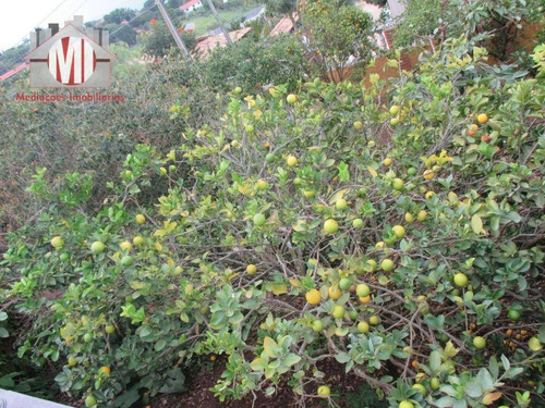 Imagem 14 de 30 de Belíssima Chácara Com 2 Dormitórios À Venda, 1000 M² Por R$ 550.000 - Zona Rural - Pinhalzinho/sp - Ch0232