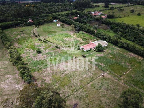Imagem 14 de 14 de Sitio - Fabio Ivanoff (11) 91145-4488