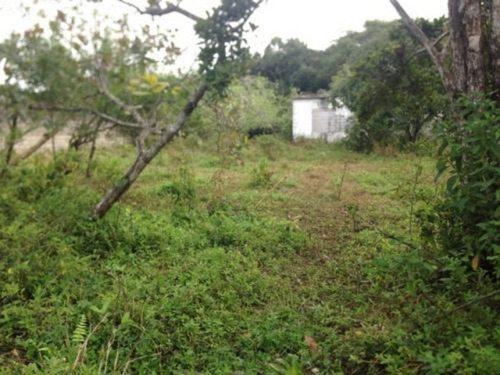 Terreno De Chácara De 3500 Mts No Gaivota-itanhaém 2326 Npc