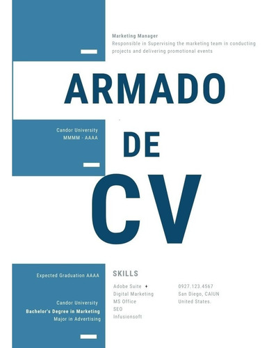 Armado Cv | Curriculum Vitae Personalizado En 24 Horas