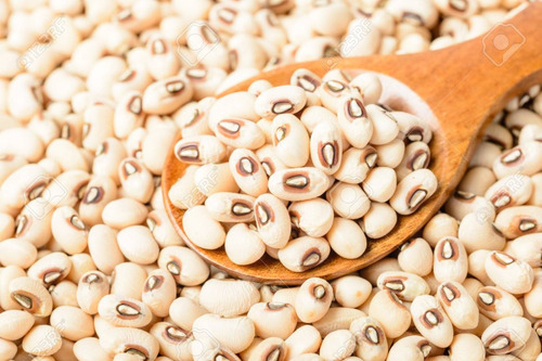 Vigna Unguiculata -cowpea, Frijol Caupi O Frijol Carita 5 Kg