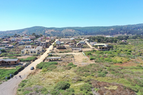 Primera Línea En Cahuil