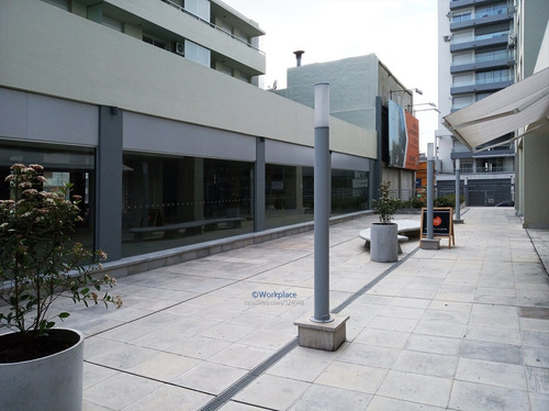 Imagen 14 de 15 de Local Comercial O Oficina - Barrio Sur - Alquiler Cw124048