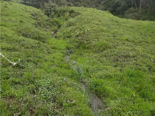 Vendo O Permuto Finca En Junin Cundinamarca