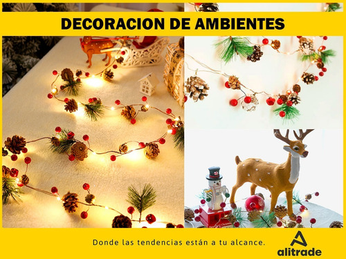 Imagen 6 de 10 de Luces Navidad Led Cálida Adornos Navideños Guirnalda Usb