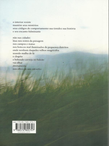 Até A Margem Do Grande Rio, De Campos, Edu. Editora Ateliê Editorial, Capa Mole Em Português