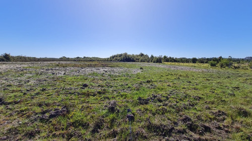 Parcela 10.000 M2 (1 Hectárea) - La Pasada - Maullín