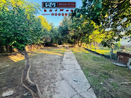 Alquiler Casa San José De Mayo En Centro 2 Dormitorios Cochera Abierta Y Cerrada Con Patio Verde Y Barbacoa Inmobiliaria Menyou
