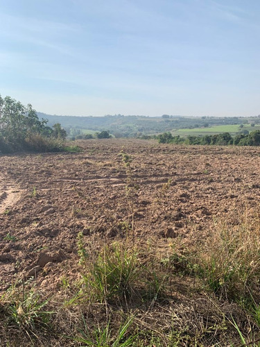 Imagem 7 de 8 de Terreno Em Descalvado Sp