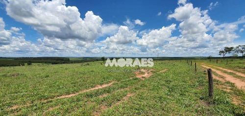 Imagem 15 de 18 de Fazenda Na Região De Bauru À Venda, 118 Alq Por R$ 15.000.000 - Bauru - Bauru/sp - Fa0016