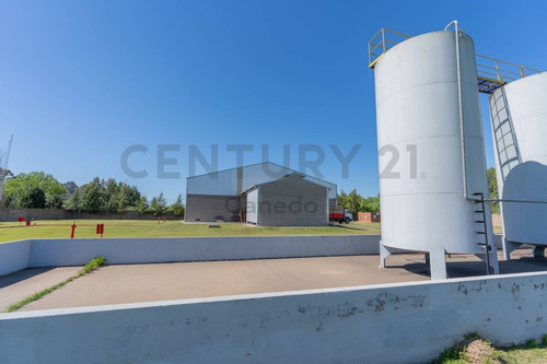 Imagen 12 de 30 de Venta - Galpon - Planta Industrial - Zarate