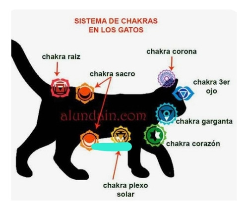 Péndulo Hebreo, Radiestesia. Terapia. Sesiones A Distancia.