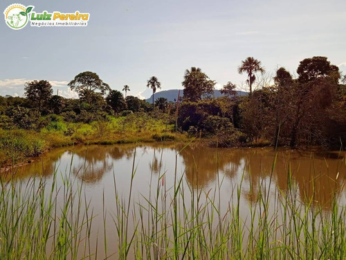 Imagem 6 de 15 de Fazenda Em Breu Branco - Pa - 2.584,56 Hectares (dupla Aptidão) - 2158