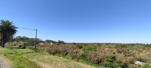 Imagen 2 de 5 de Campo En Venta Sobre Ruta 1 Para Fraccionamiento
