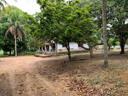 Imagem 3 de 7 de Granja Para Venda - 009987