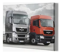 Comprar Cuadro Decorativo Camiones Trailer Camion Logistica Trailers