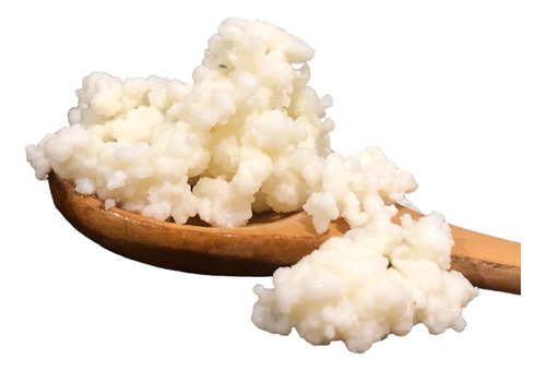 Probiótico Completo Natural Kéfir Búlgaros Yogurt Pajaritos