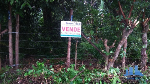 Imagem 1 de 9 de Terreno Plano Com Escritura Na Estrada De Mazomba Em Itaguaí/rj - 313 - 34596787