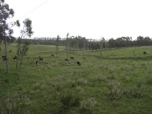 Quinta En Venta En Manantiales