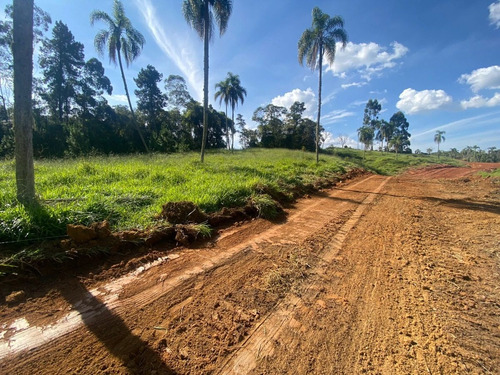 Imagem 25 de 30 de L30- Lotes Barato