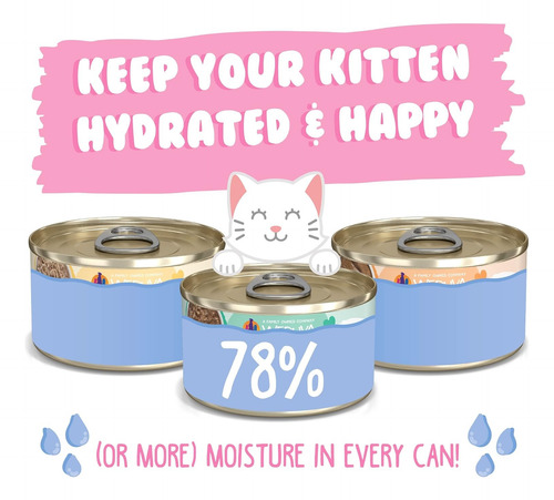 Weruva Gatito - Can Jam! Alimento Humedo 12 Latas 3oz