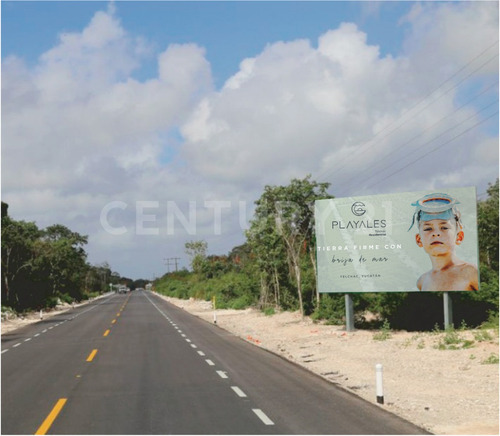 Imagen 23 de 30 de Proyecto De Lotes Residenciales En Telchac Puerto, Yucatán