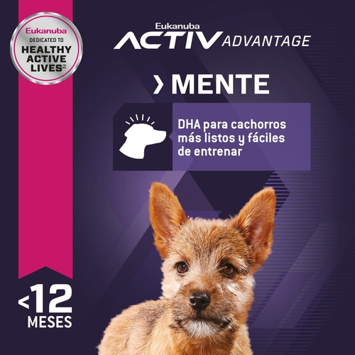 Alimento Perro Eukanuba Cachorro Raza Pequeña 2 Kg.