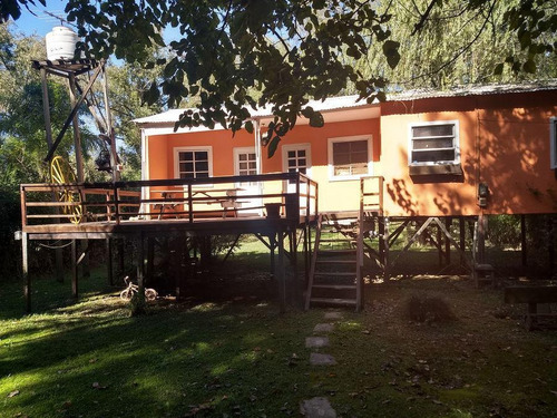 Imagen 5 de 10 de Casa - Rama Negra