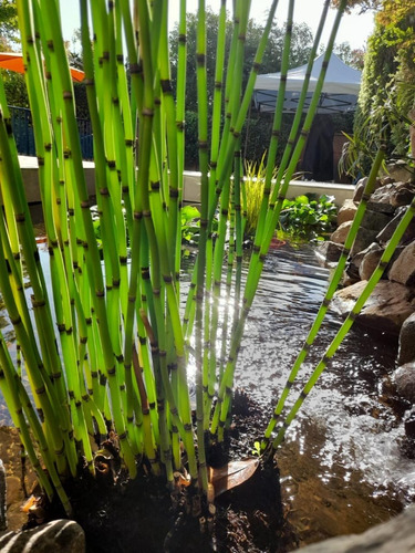 Venta Amplia Y Luminosa Casa Con Piscina Y Quincho Altomacul