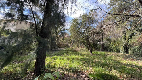 Lote En Zona Parque Leloir Udaondo 806m2