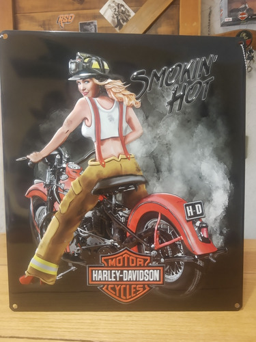 Lámina Decorativa Harley Davidson (smoking Hot)