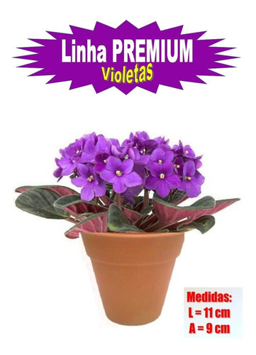12 Vasos De Barro 11 X 9 Cm Flores Violetas | MercadoLivre