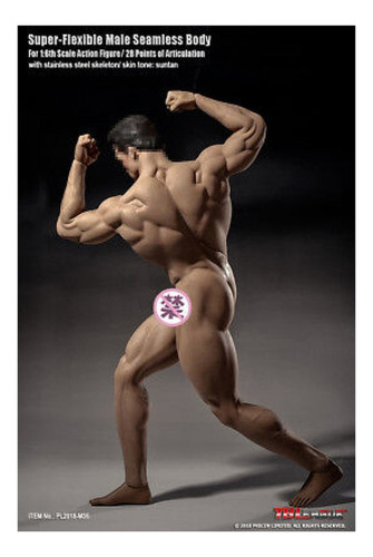 Jj Modelo De Cuerpo Musculoso Tbleague Phicen De Hombre 1/6