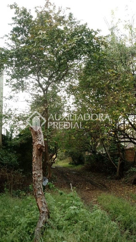 Imagem 10 de 11 de Terreno - Gloria - Ref: 264907 - V-264907