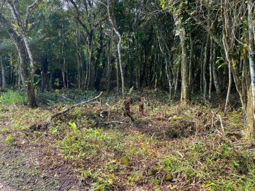Imagem 3 de 10 de Lote Com Facilidade De Entrada No Litoral. Itanhaém/sp