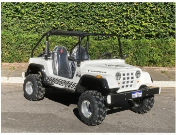 Imagem 1 de 10 de Mini Jeep - Mini Carro Motorizado - Buggy Fapinha - Jipinho