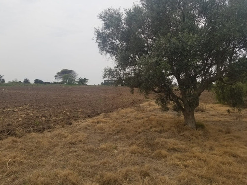 Imagen 8 de 14 de Venta Chacra San Fuentes 3692, 3 Hectáreas!!!