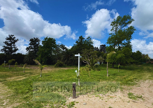 Lotes En Venta Moreno - La Reja