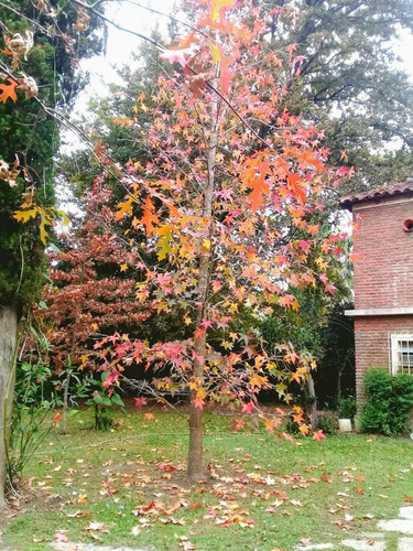 Imagen 3 de 23 de Quinta En Venta, Obligado 896 (a Una Cuadra Del Destacamento), El Cazador