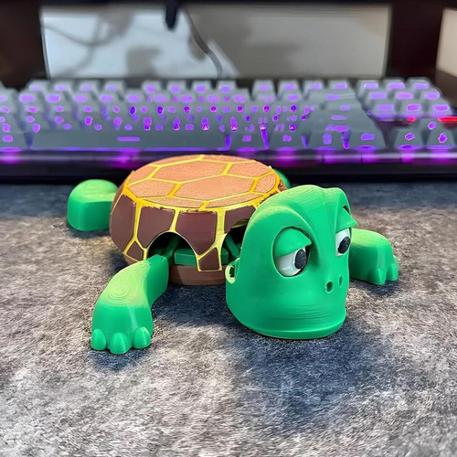 Posavasos Con Forma De Tortuga, Graciosos Estampados Con Ojo